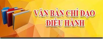 Ninh Bình tập trung triển khai quyết liệt các biện pháp phòng, chống bệnh dịch tả lợn Châu Phi